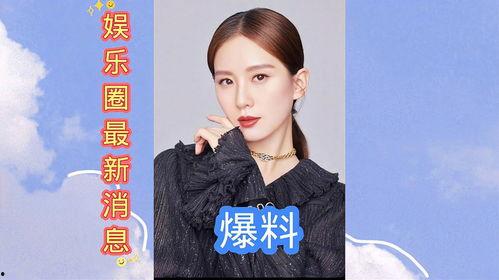 娱乐圈最新爆料音乐,最新音乐爆料，揭秘明星幕后故事
