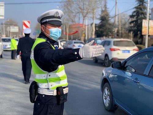 河南快递最新爆料人,揭秘行业背后真相与挑战